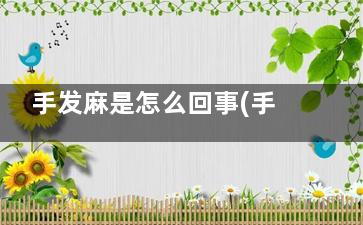 手发麻是怎么回事(手发麻是怎么回事 手发麻的原因)